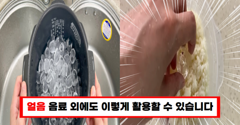 얼음 활용 꿀팁 4가지 – 냉동밥부터 옷 주름 제거까지!