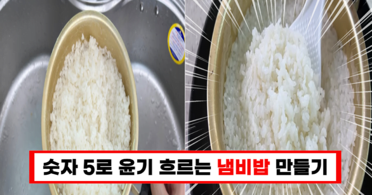 숫자 5만 알면 윤기 나는 밥 완성! 사장님이 알려준 방법 감사합니다!