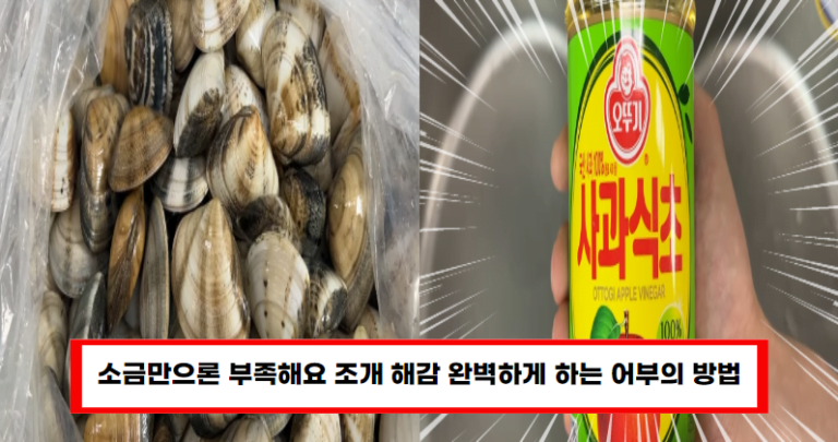 어부가 알려준 조개 해감 꿀팁, 이렇게 하면 된다!
