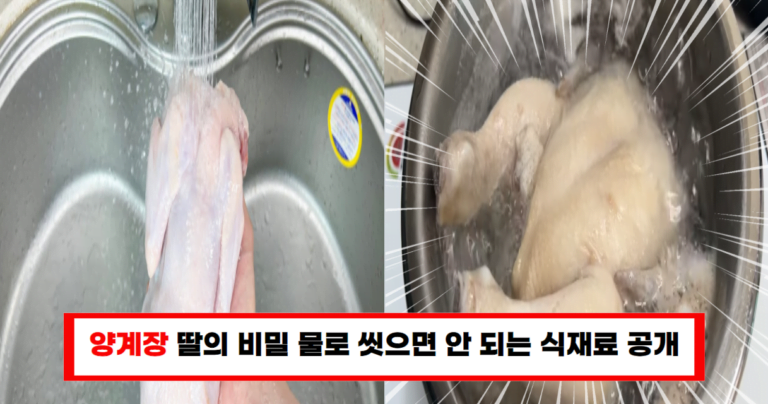 몰랐던 사실! 물로 씻으면 안 되는 식재료 3가지