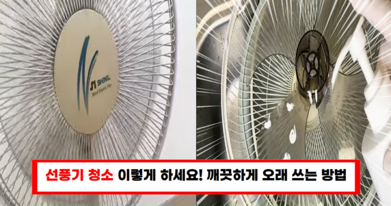 선풍기 청소 꿀팁! 먼지 없는 깨끗한 선풍기 만드는 방법