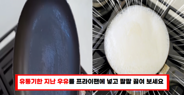 집에서 간편하게 프라이팬 코팅 살리는 비법