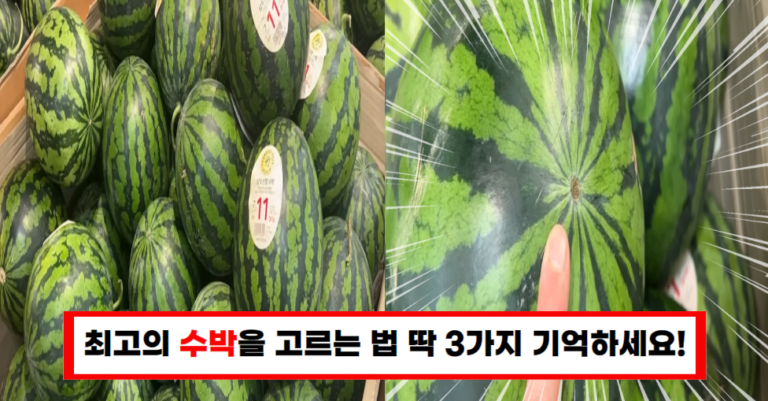 마트에서 맛있는 수박 고르는 3가지 꿀팁!