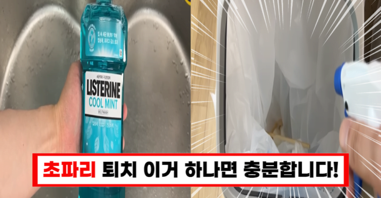 날파리 완전 박멸! 집에서 쉽게 만드는 퇴치제 비법