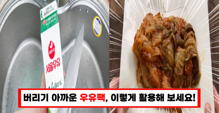 우유팩 재활용 꿀팁 실생활에서 유용한 3가지 방법”