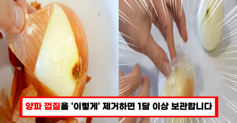 “양파 눈물 없이 손질하고 오래 보관하는 꿀팁”