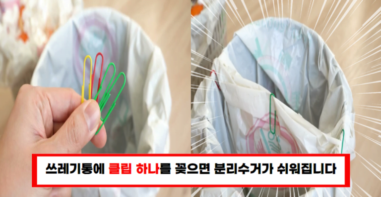 가정용 쓰레기 관리 클립으로 간편하게 해결하는 법