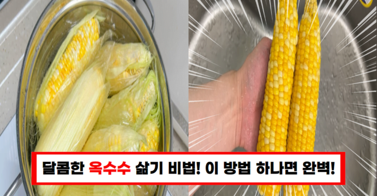 옥수수 10배 맛있게 삶는 법! 시장 아주머니의 비법 감사해요!