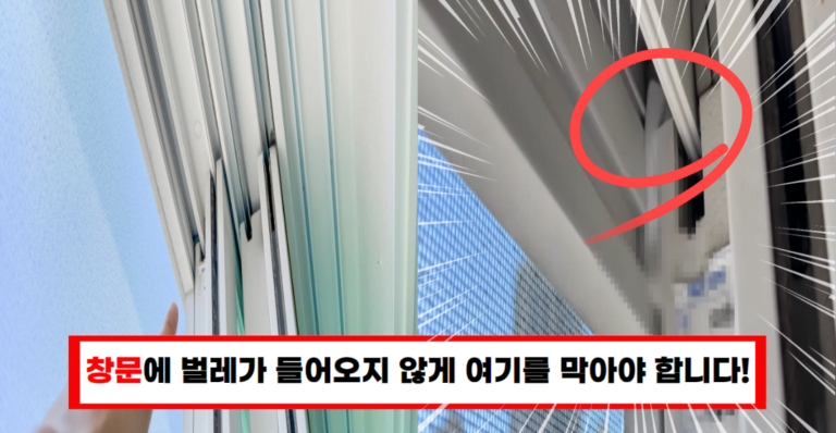 벌레박사의 창문 벌레 차단 비법 대공개