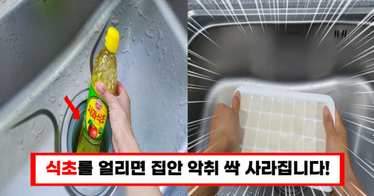 “식초로 싱크대 악취 제거하기 간단한 방법과 꿀팁”