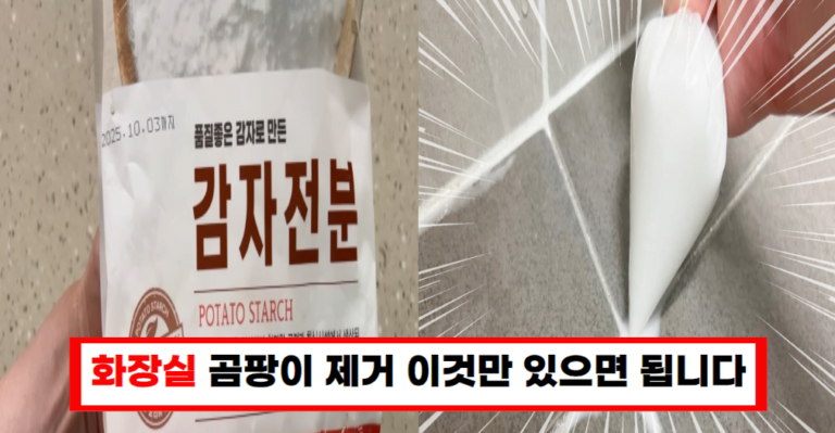 “집에서 간단하게 화장실 곰팡이 제거하는 법”