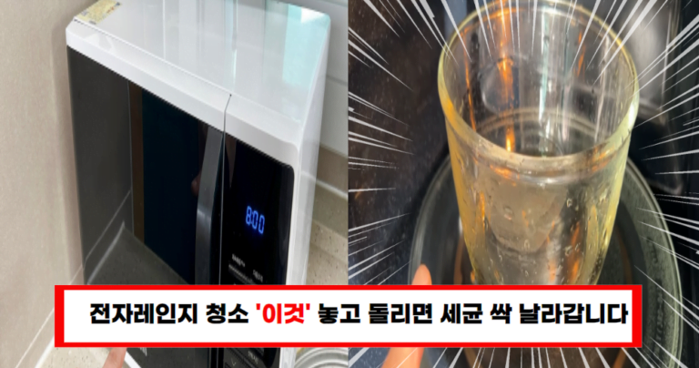 여름철 전자레인지 식중독 예방 방법 3가지