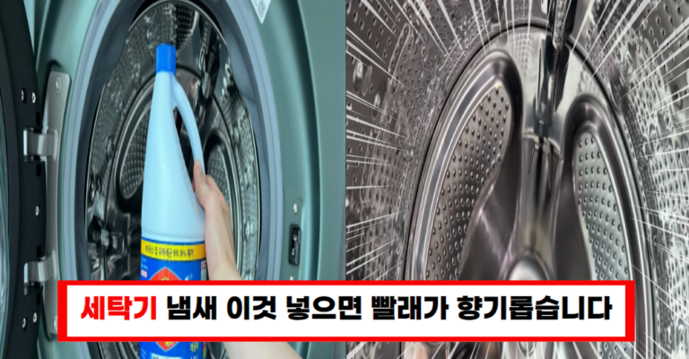 “세탁기 냄새 제거 꿀팁 깨끗하게 관리하는 법”