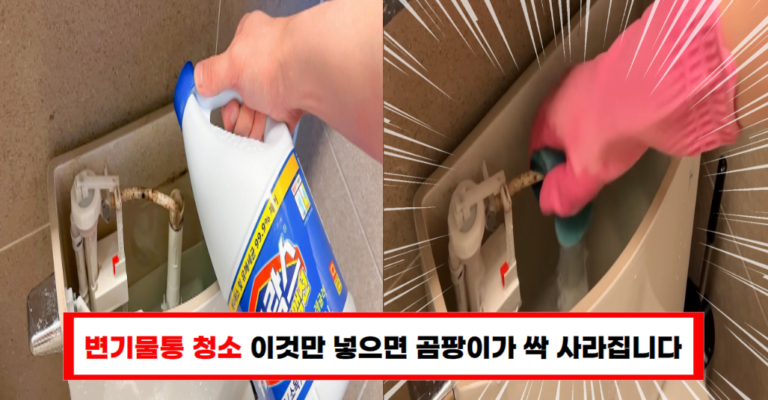 변기 물통 청소, 곰팡이 없이 깨끗한 욕실 비법!