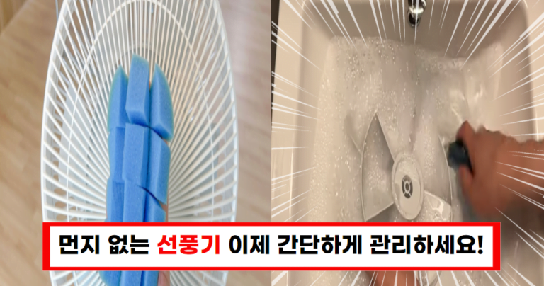 선풍기 관리 비법 먼지 걱정 없이 깨끗하게 유지하는 방법