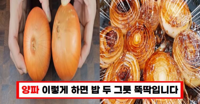 “단맛과 풍미가 살아있는 양파 조림, 밥 두 그릇 뚝딱!”