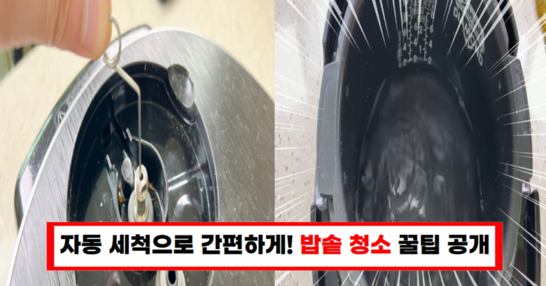 “밥맛이 달라지는 비법? 밥솥 청소만으로 가능!”