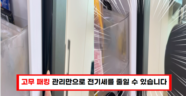 “고무 패킹 관리로 냉장고 전기세 절약하는 법”