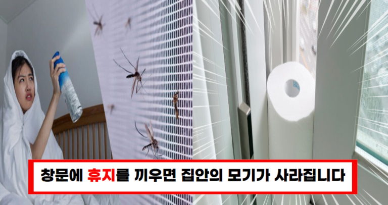 모기 걱정 끝! 창문 틈새를 막아 모기 퇴치하는 법