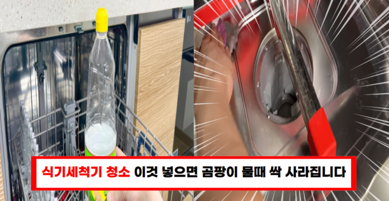 쉽고 빠른 식기세척기 청소법, 이제 곰팡이 안녕