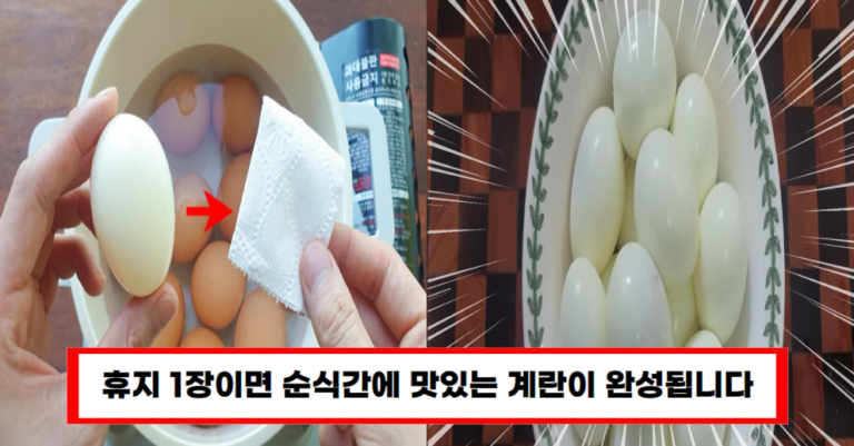 물 없이 계란을 삶는 놀라운 방법, 지금 확인하세요!