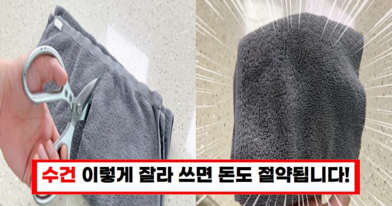 수건 관리 꿀팁 피부 건강을 지키는 세탁 비법