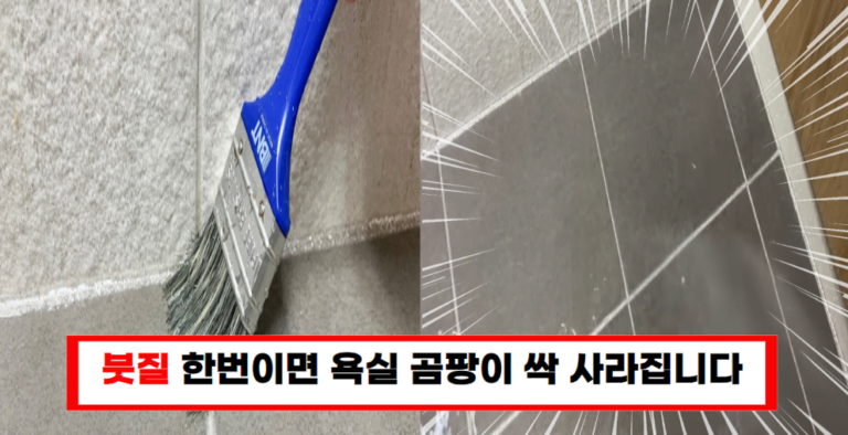 새하얗게 변신! 곰팡이 제거 비법, 붓질 한 번이면 충분합니다!