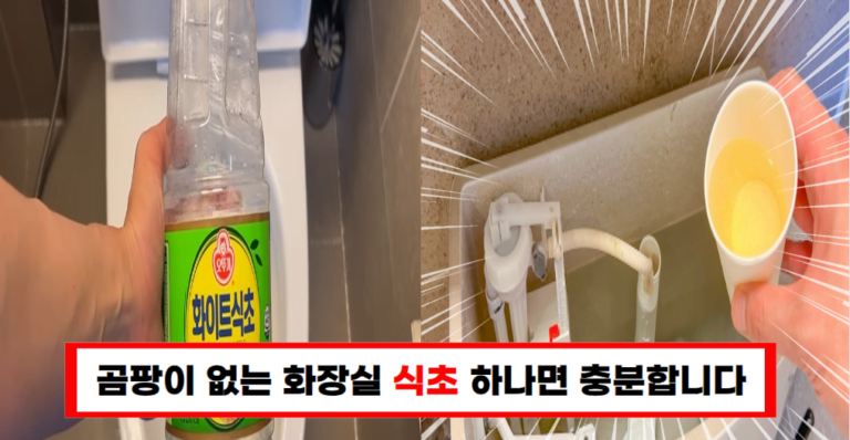 변기 청소, 이제 간편하게! 식초와 구연산으로 끝!
