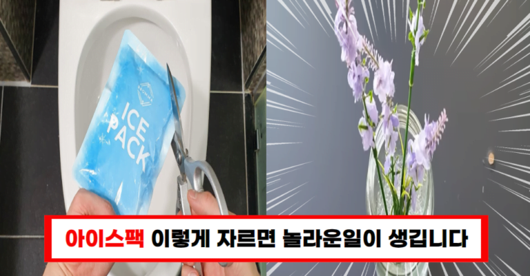 “여름철 필수품 아이스팩, 이제는 다르게 활용하자!”