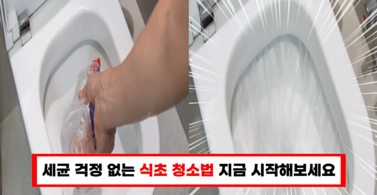 악취 제거와 세균 퇴치까지! 식초를 사용한 화장실 청소