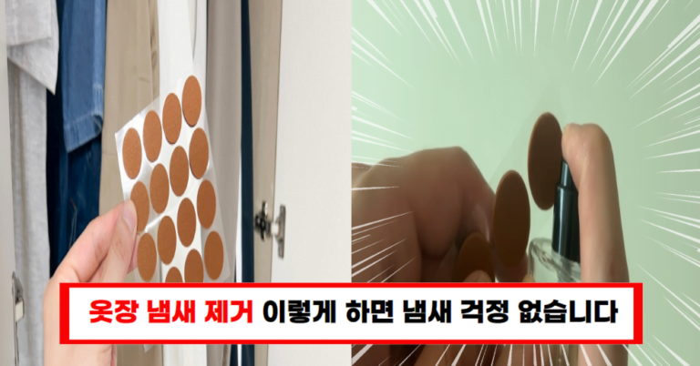 옷장 냄새 제거, 이제 스트레스 받지 마세요!